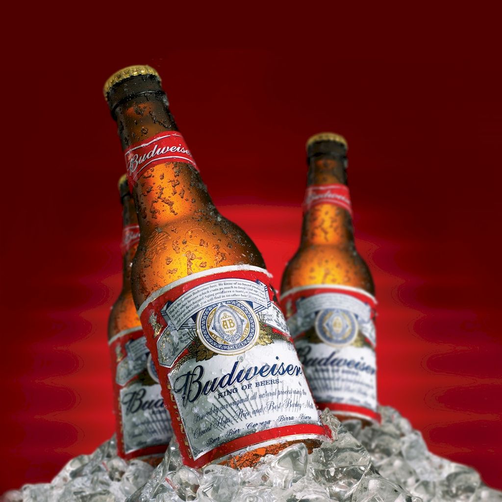 Budweiser - Menu La Mordida Fusa